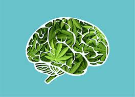 brain made of marijuana leafs